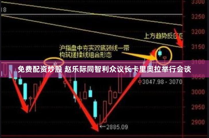 免费配资炒股 赵乐际同智利众议长卡里奥拉举行会谈