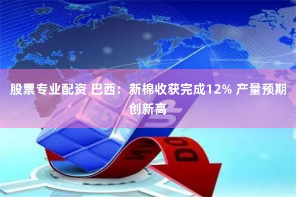 股票专业配资 巴西：新棉收获完成12% 产量预期创新高