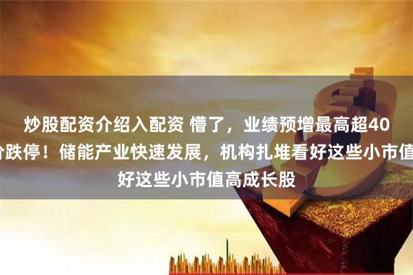 炒股配资介绍入配资 懵了，业绩预增最高超406%，股价跌停！储能产业快速发展，机构扎堆看好这些小市值高成长股