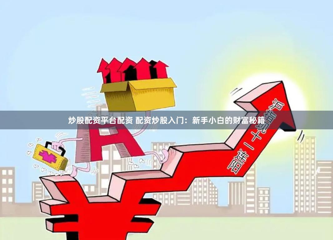炒股配资平台配资 配资炒股入门：新手小白的财富秘籍